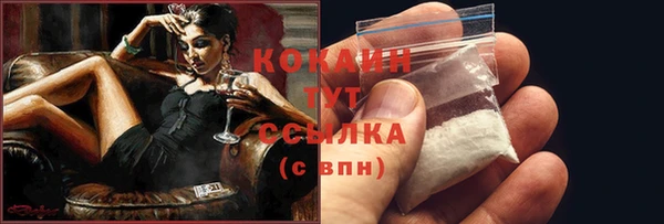 бошки Бородино
